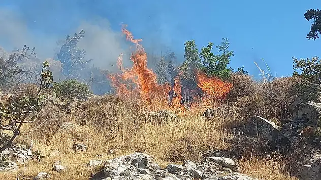 Son Günlerde Yangınlar Çoğalmaya Başladı