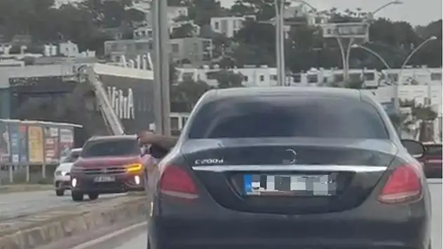 Sorumsuzluk sınır tanımıyor