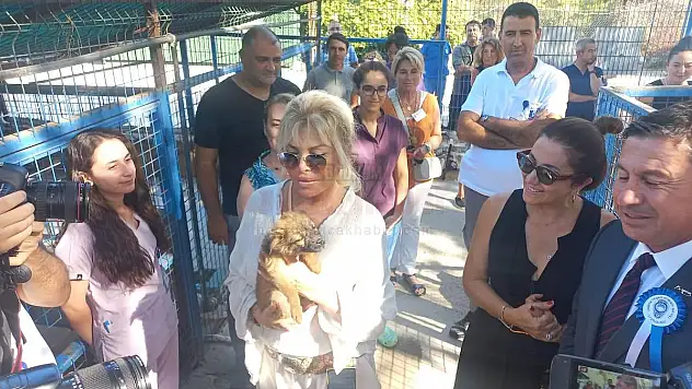 Süperstar Ajda Pekkan Bodrum Geçici Hayvan Bakımevini Ziyaret Etti