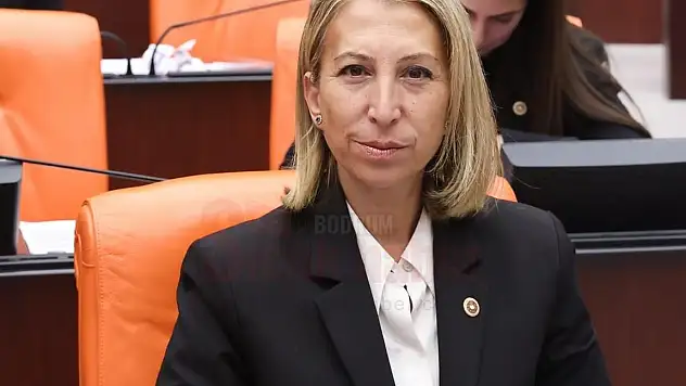 Süreyya Öneş Derici, Kamu Personeli için Kira Yardımına İlişkin Kanun Teklifi Verdi