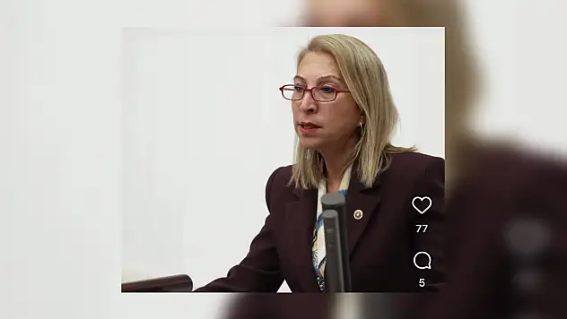 Süreyya Öneş Derici TBMM'de Muğla'nın sorunlarını gündeme taşıdı