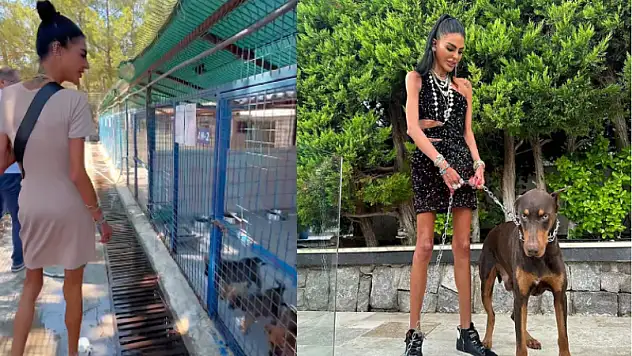 Süreyya Yalçın Baran Torba Barınaktan Bir Can Sahiplendi