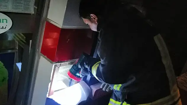 Süsleme direğinin içerisine düşen kedi yavrusu kurtarıldı