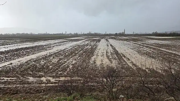 Tarım arazilerinde saha incelemesi başlatıldı