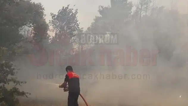 Tarım Arazisi Ve Ormanlık Alanda Yangın Çıktı