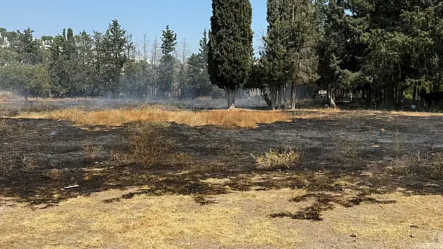 Tarım arazisinde yangın paniği!