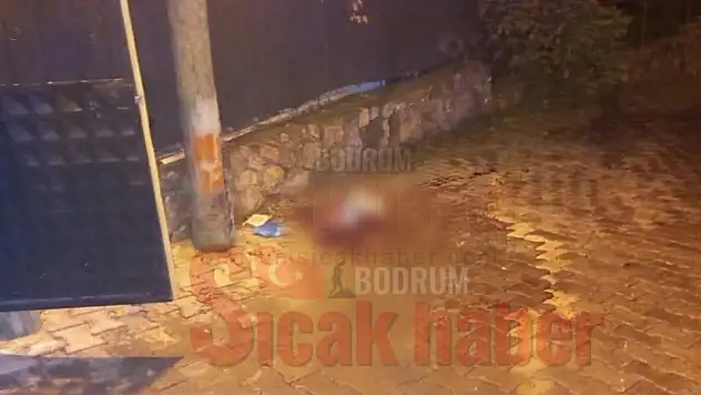 Tartıştığı Arkadaşını Bıçakladı