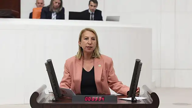 'TBMM Bodrum'daki Orman Arazilerinin İmara Açılması Konusunu Araştırsın!'