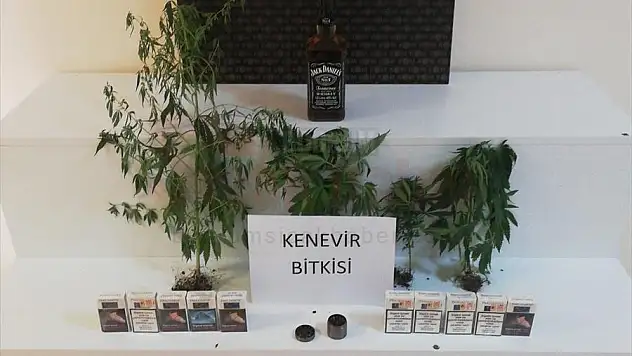 Tefecilik yaptıkları iddiasıyla 3 şüpheli yakalandı