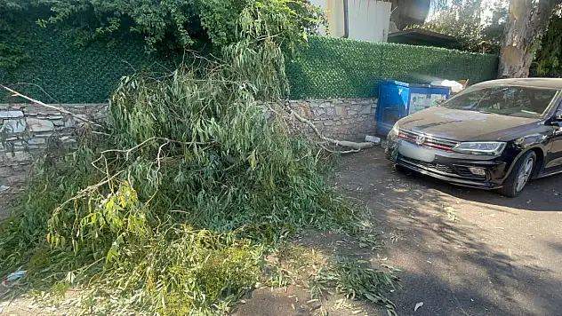 Tehlike yıllardır biliniyor önlem yok !