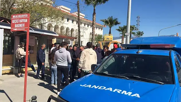 Telefon Dolandırıcılığında 4 Milyonluk Vurgun İddiası