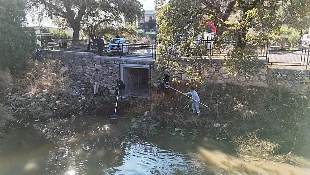 'Tescilli Ağaç Topluluğu' Bölgesi Temizlendi