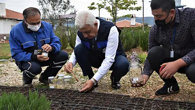 'Tohum Yeniden Doğum Demektir'