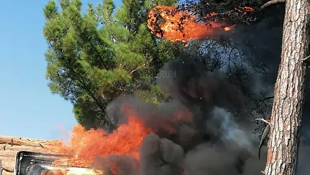 Tomruk Yüklü Kamyon Alev Alev yandı