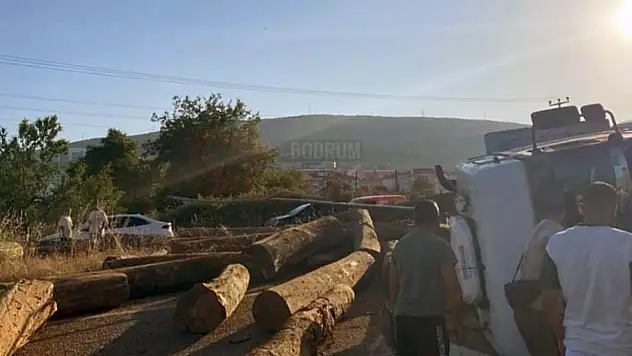 Tomruk Yüklü Tır Devrildi, Tomruklar Yola Saçıldı