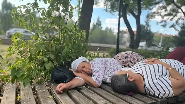Toprak İçin Direniyorlar: Köylüler Meclis Yakınında Nöbette