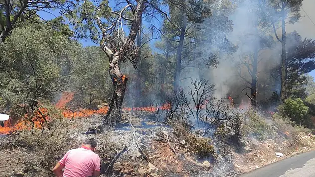 Torba'da Çıkan Yangın Ekiplerce Söndürüldü
