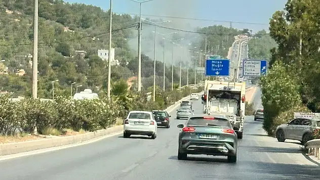 Torba'da Çıkan Yangında Zeytinlik Alan Zarar Gördü