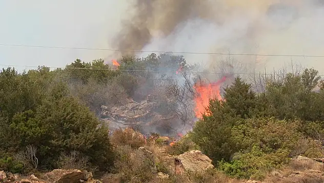 Datça'da orman yangını başladı