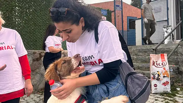 Turgutreis barınağı'nda can dostlara sevgi ziyareti