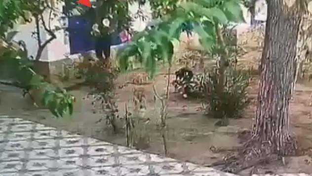 Turistlerin Odalarına Girip Paralarını Alan Şahıs Yakalandı