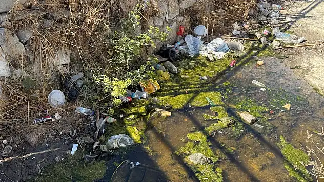 Turizmin kalbinde çöp dere !