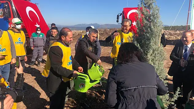 Türk-Kore Dostluk Ormanlarının 5.si Milas'ta Oluşturuldu