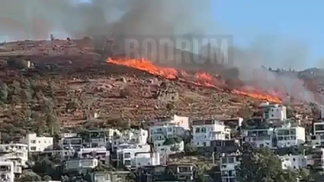 Türkbükü'nde Çıkan Yangın Yerleşim Yerlerini Tehdit Ediyor