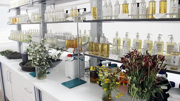 Türkiye'nin ilk Tıbbi Aromatik Bitki Dijital Kütüphanesi Kuruluyor