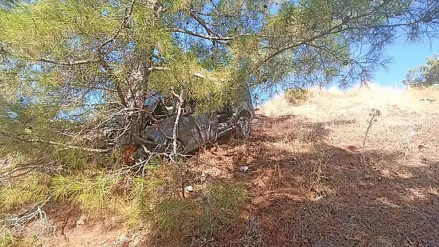 Uçuruma Düşen Araç, Ağaca Çarparak Durdu