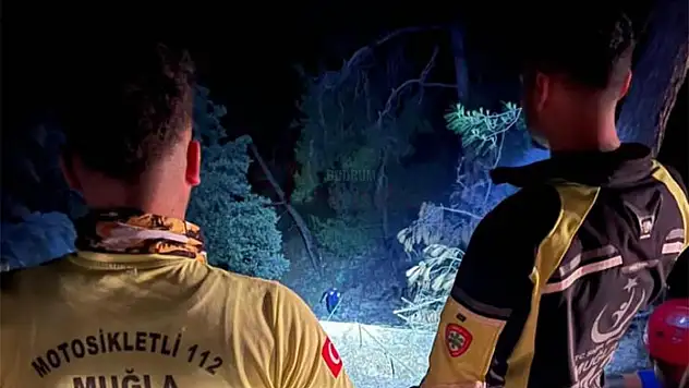 Uçuruma Yuvarlanan Araçta Bulunan İki Kişi Yaralandı