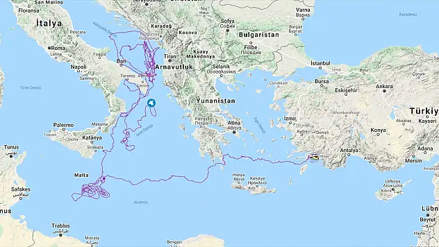 Uydudan izlenen 'Caretta Tuba' yaklaşık iki yılda 10 bin kilometre yol aldı