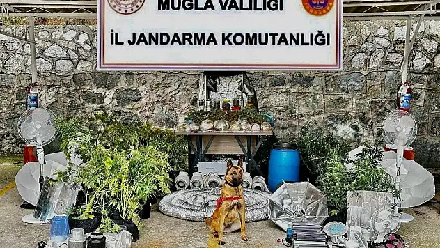 Uyuşturucu İmalatı Yapılan Yere Baskın