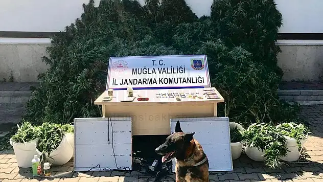 Uyuşturucu Madde İmal Edip Satan 2 Şüpheli Yakalandı