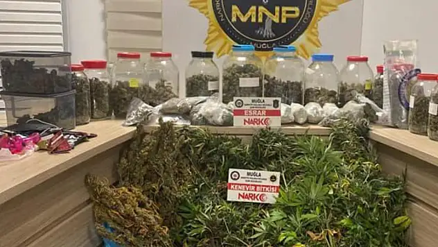 Uyuşturucu Operasyonlarında 2 Gözaltı