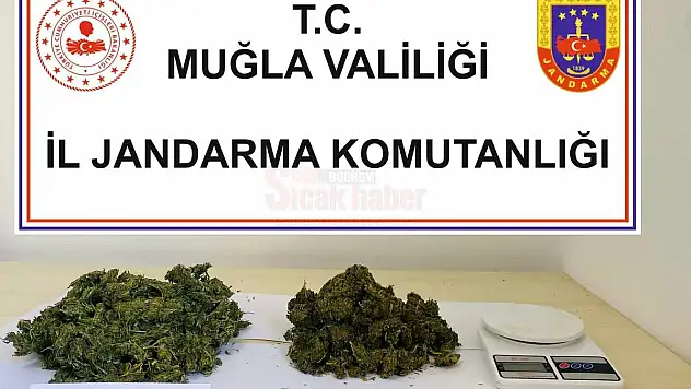 Uyuşturucu Operasyonunda 1 Kişi Gözaltına Alındı