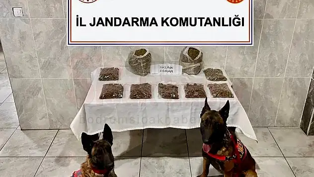 Uyuşturucu Operasyonunda 1 Kişi Gözaltına Alındı