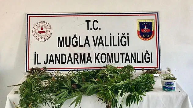 Uyuşturucu Operasyonunda 1 Kişi Tutuklandı
