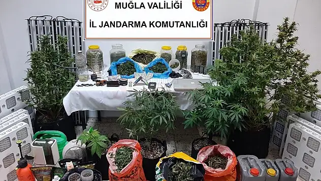 Uyuşturucu Operasyonunda 2 Kişi Gözaltına Alındı