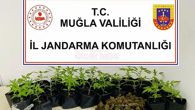 Uyuşturucu Operasyonunda 2 Kişi Tutuklandı