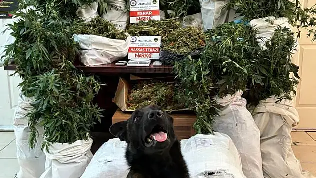 Uyuşturucu Operasyonunda 7 Şüpheli Gözaltına Alındı