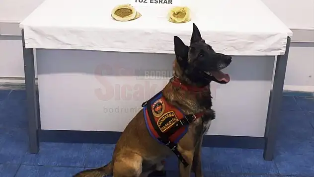 Uyuşturucu Operasyonunda 7 Şüpheli Yakalandı