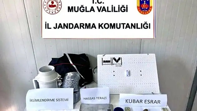 Uyuşturucu Yetiştiren Şüpheliler Operasyonlarla Yakalandı