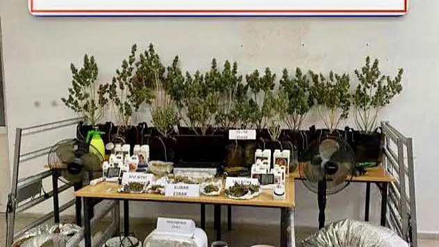 Uyuşturucu Yetiştirip Satan Kişi Ekiplerce Yakalandı