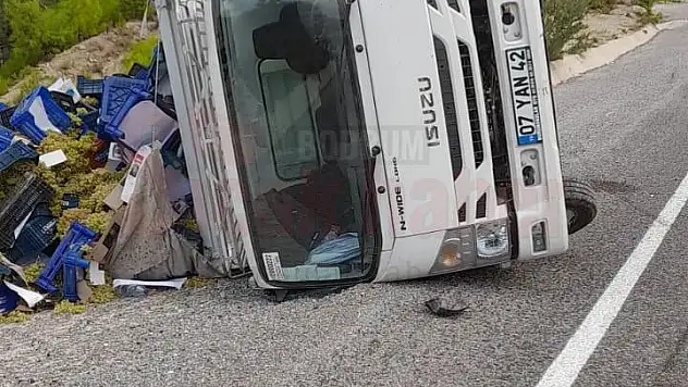 Üzüm Yüklü Kamyonet Devrildi: Kazada1 Kişi Yaralandı