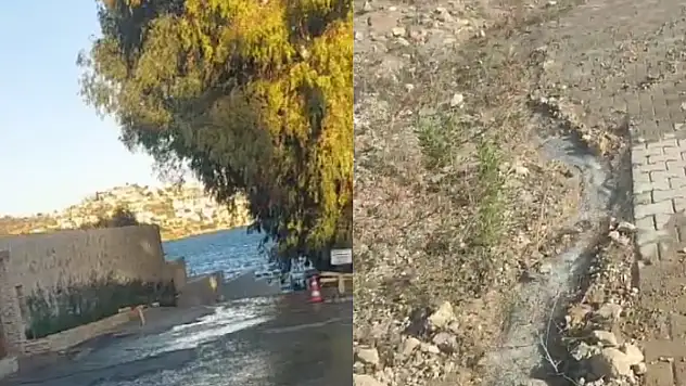 Vatandaş Görüyor, Biz Görüyoruz, Siz Neden Görmüyorsunuz Sayın Yetkili