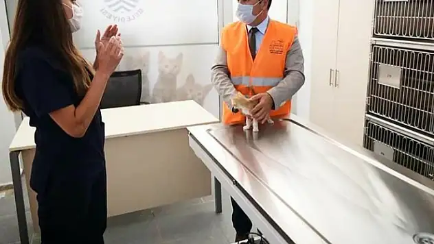 Veteriner Hekimler Günü Kutlu Olsun!