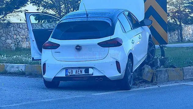 Virajı Alamayan Otomobil Kaza Yaptı