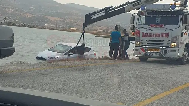 Virajı Alamayan Otomobil Sulak Alana Girdi