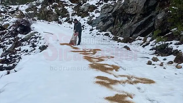 Yaban Hayvanları İçin Doğaya Yem Bırakıldı